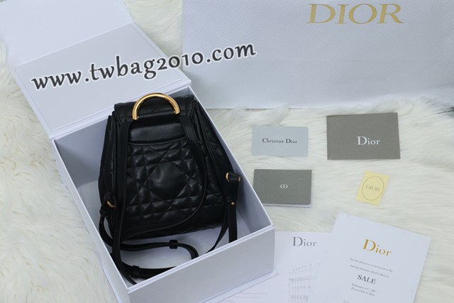 Dior专柜新款迪奥高仿原单Caro双肩包小羊皮女士双肩背包 djfk1575